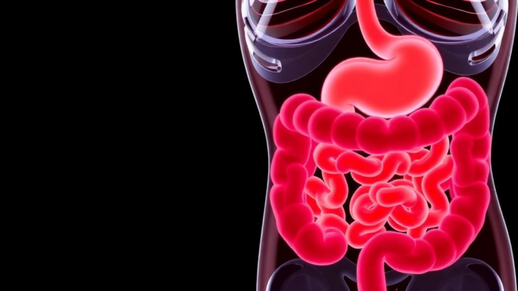 Blood Protein Claudin-3 Emerges as a Window Into the Leaky Gut of Adolescents With Functional Digestive Disorders