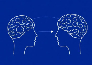 Lifelong Learning and Emotional Skills Keep the Ageing Brain Sharp, Twin Studies Find