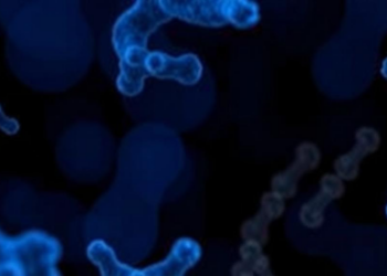MOTS-c: The Tiny Mitochondrial Peptide That Behaves Differently in Health and Cancer