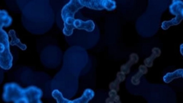 MOTS-c: The Tiny Mitochondrial Peptide That Behaves Differently in Health and Cancer