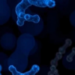 MOTS-c: The Tiny Mitochondrial Peptide That Behaves Differently in Health and Cancer