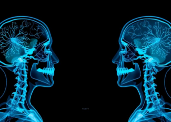 Medical AI in radiology may copy and amplify bias, major review finds