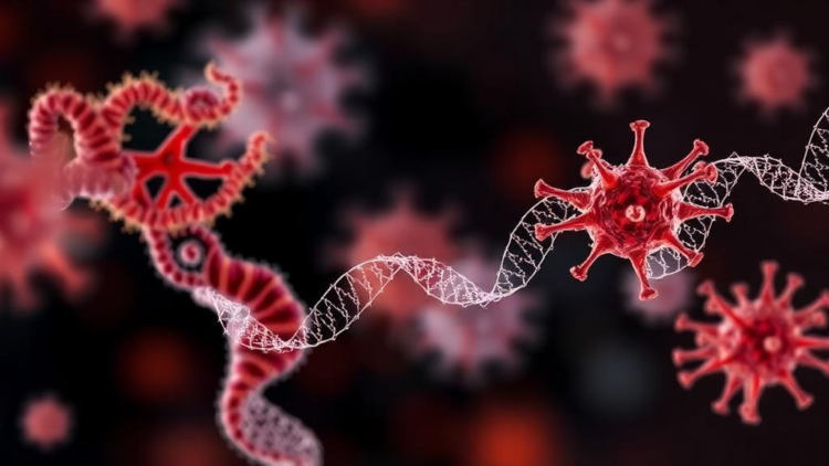 Hidden World of Commensal Anelloviruses Mapped in Unprecedented Genomic Detail