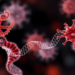 Hidden World of Commensal Anelloviruses Mapped in Unprecedented Genomic Detail