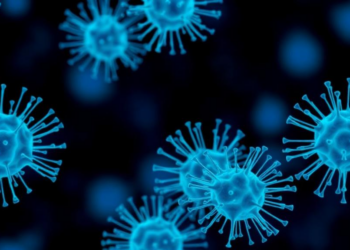 Plant Terpenes May Rewire Ion Channels Linked to Diabetes and Fibrosis