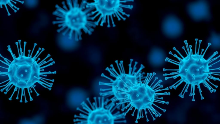 Plant Terpenes May Rewire Ion Channels Linked to Diabetes and Fibrosis
