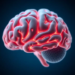 Brain Wiring at Birth Predicts Toddlers’ Social and Language Skills