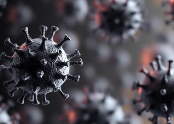 Antibodies Fade Fast: Malawi Study Maps Hidden Waves of COVID-19 Infection