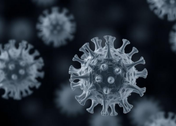 Whole-Genome Sequencing Tracks Influenza H1N1 Drift in Iran and Backs Current Vaccine Strain