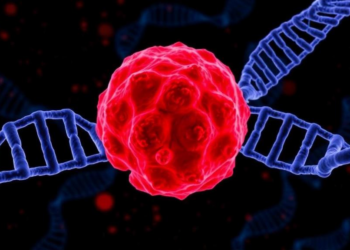 Melanoma’s Deadly Shift: DNA Methylation Rewrites the Tumor as It Spreads