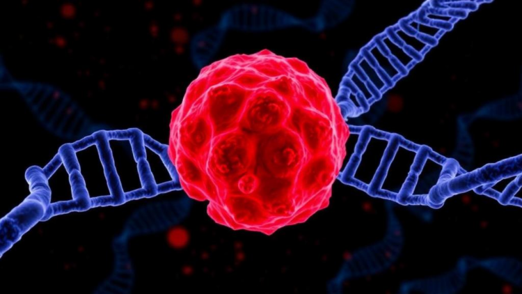 Melanoma’s Deadly Shift: DNA Methylation Rewrites the Tumor as It Spreads