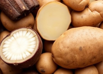 Yam Versus Potato: Head-to-Head Nutritional Showdown in Nigeria Reveals Surprising Winner