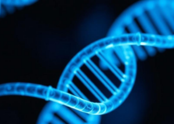 RNA Cap Modification Emerges as a Switch That Governs Tumor Response to Radiotherapy