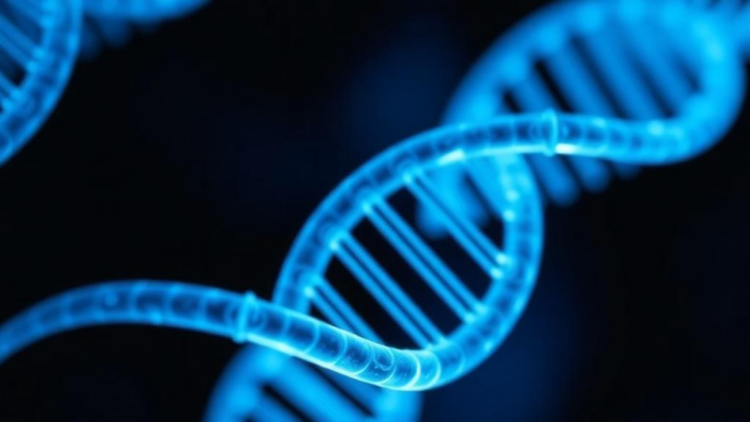 RNA Cap Modification Emerges as a Switch That Governs Tumor Response to Radiotherapy