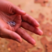 Severe Hand, Foot and Mouth Disease Outbreak in Vietnam Traced to a Single Introduction of Enterovirus A71 Subgenogroup B5