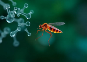 Cancer Drug Candidates Show Dual Power Against Malaria Parasite