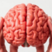 Genes and Lifestyle Interact to Shape How Fast Your Brain Ages, Massive Study Finds