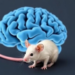 How Chronic Stress Feeds Liver Cancer: A Brain-Liver Loop Revealed in Mice