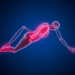 How Exercise Reprograms Glucose Metabolism to Fight Osteoporosis
