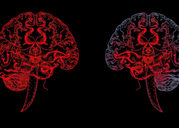 Brain Texture Fingerprints Reveal Two Distinct Schizophrenia Subtypes