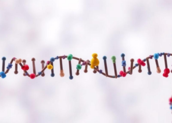 Protein Variants Beyond DNA: Human Proteome Is Far Richer Than the Genome Suggests
