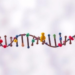 Protein Variants Beyond DNA: Human Proteome Is Far Richer Than the Genome Suggests