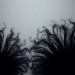 Exotic Black Holes Grow Hair and Reveal a Surprising Entropy Ceiling
