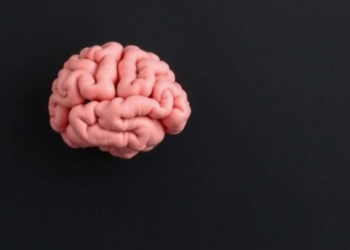 Exercise That Challenges the Brain Beats Simple Workouts for Early Memory Loss