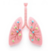 Tiny Cellular Shuttles Drive Aging in Chronic Lung Disease, Review Finds