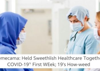 Sensemaking Held Swedish Healthcare Together in COVID-19’s First Weeks