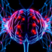 How the Reach of Inhibitory Synapses Steers Brain Networks Toward Criticality