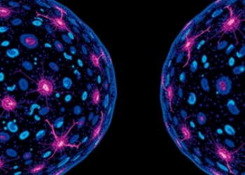 Single-Cell Atlas Reveals DLL3 as a Drug Target in Aggressive Cervical Cancer