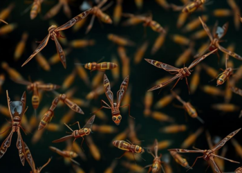 Shrinking Swarms, Smarter Search: New Study Ranks Population Reduction Strategies in Differential Evolution