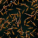 Shrinking Swarms, Smarter Search: New Study Ranks Population Reduction Strategies in Differential Evolution