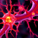 Enzyme Autotaxin Drives Scarring in the Optic Nerve’s Load-Bearing Scaffold in Glaucoma