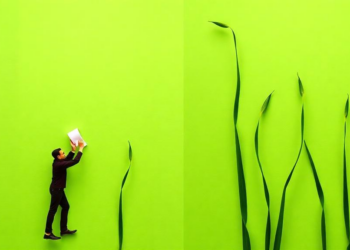 Green Funds Backfire: Government Money May Fuel Corporate ESG Greenwashing