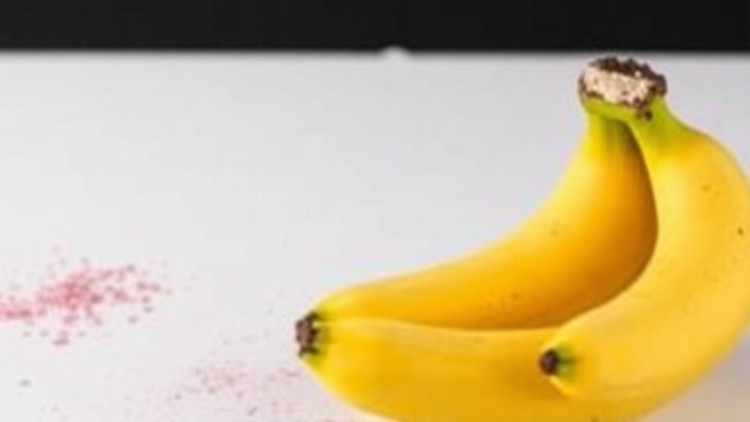 Microwave Extraction Unlocks Quercetin and Saponins from Discarded Banana Corms