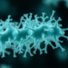 Dominant drug-resistant Acinetobacter baumannii lineage traced in northern Peru hospital