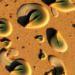 Hidden Hormone Disruptors Linger in Sediments of a Brazilian Coastal Lagoon