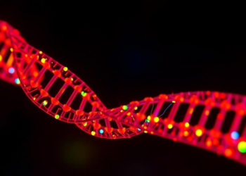 Blinking fluorescent probes reveal DNA packaging in living cells at near-helix resolution