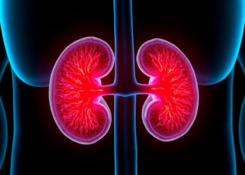 Inflammation Markers Signal Kidney Damage in Type 2 Diabetes, Uzbek Study Finds