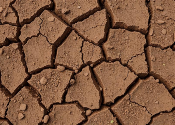 Soil Covers Tame Toxic Copper Mine Tailings, But Not for Every Metal