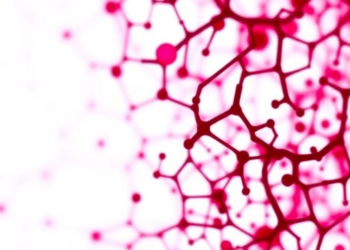 Blood Test Could Replace Tumor Biopsies for Personalized Cancer Immunotherapy