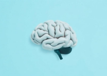 How the Brain Tunes Inhibition to Balance Memory Flexibility and Stability
