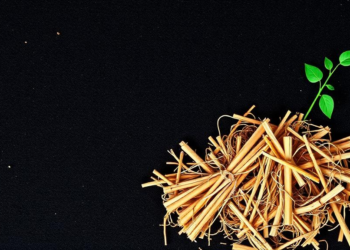 Straw, Compost and Biochar Rebuild the Hidden Plumbing of China’s Fading Black Soil