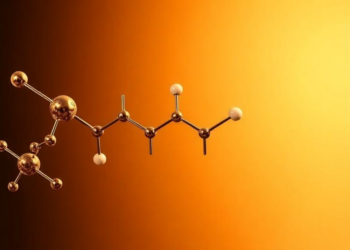 How Carbon and Nitrogen Intermediates Decide the Fate of Electrocatalytic Urea Synthesis