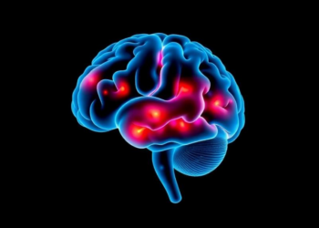 Newly Mapped Brain Region Explains Why Fear Lingers Long After the Alarm
