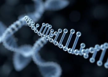 Automated lipid nanoparticle platform promises faster RNA therapy design