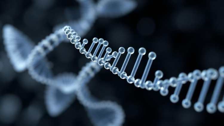 Automated lipid nanoparticle platform promises faster RNA therapy design