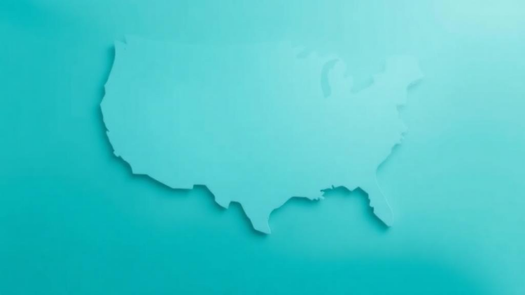 Hidden Bureaucrats: How Regional Medicare Contractors Quietly Shape Dermatology Care Across America